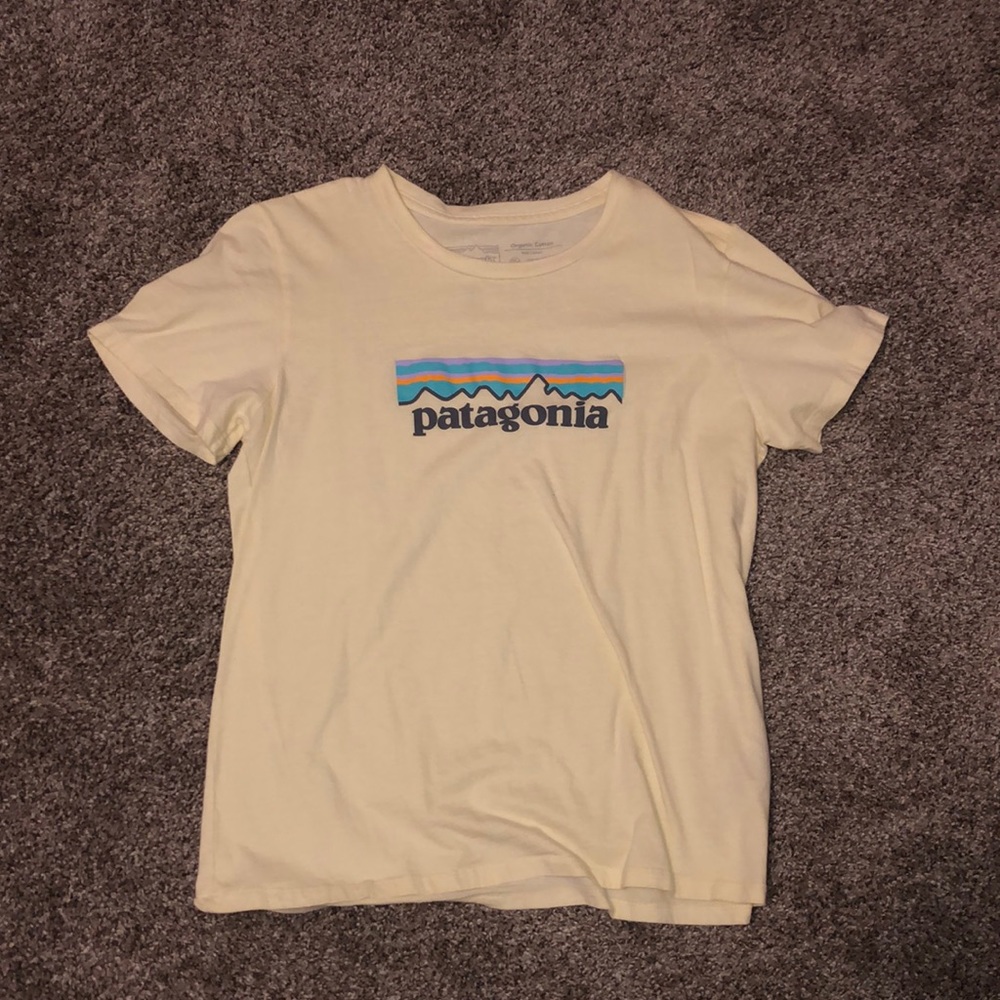 patagonia shirt